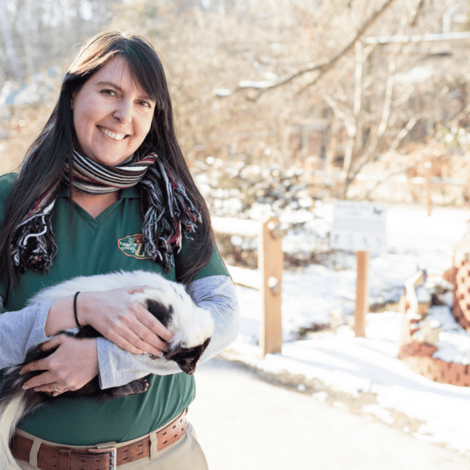 Elmwood Park Zoo General Curator