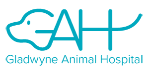 Gladwyne Animal Hospital