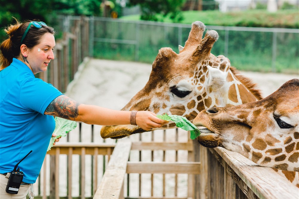 Animal Magic: The Alchemy of Accessibility at Elmwood Park Zoo - Main ...