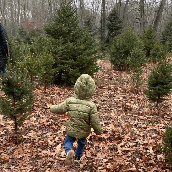 toddler running through a cut-your-own-tree farm