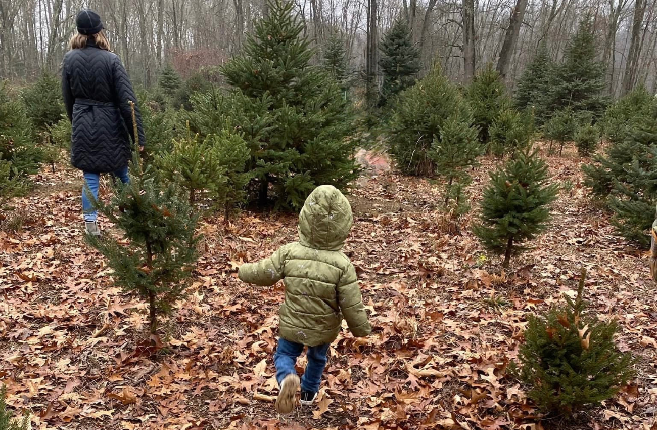 toddler running through a cut-your-own-tree farm