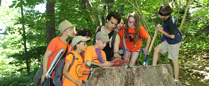 A Percy Jackson-Inspired Experience at Camp Half-Blood this Summer