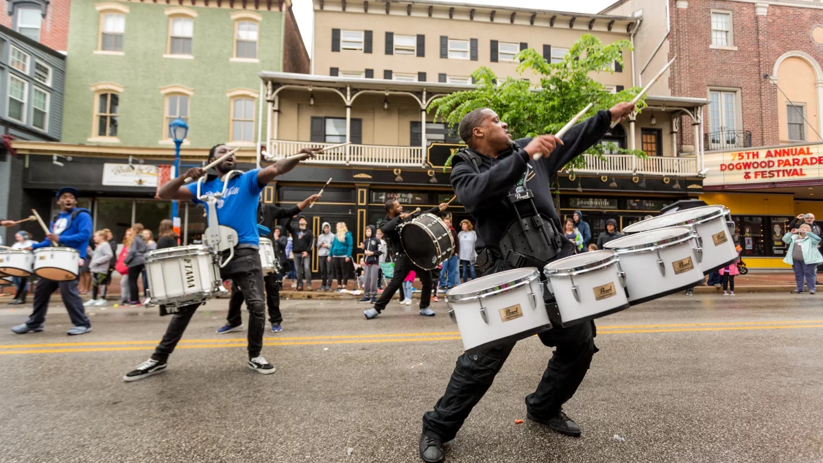 Drum corps perform on Bridge Street in Phoenixville during the Dogwood Parade.