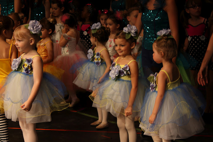 Showcase Early Division PHOTO (1)