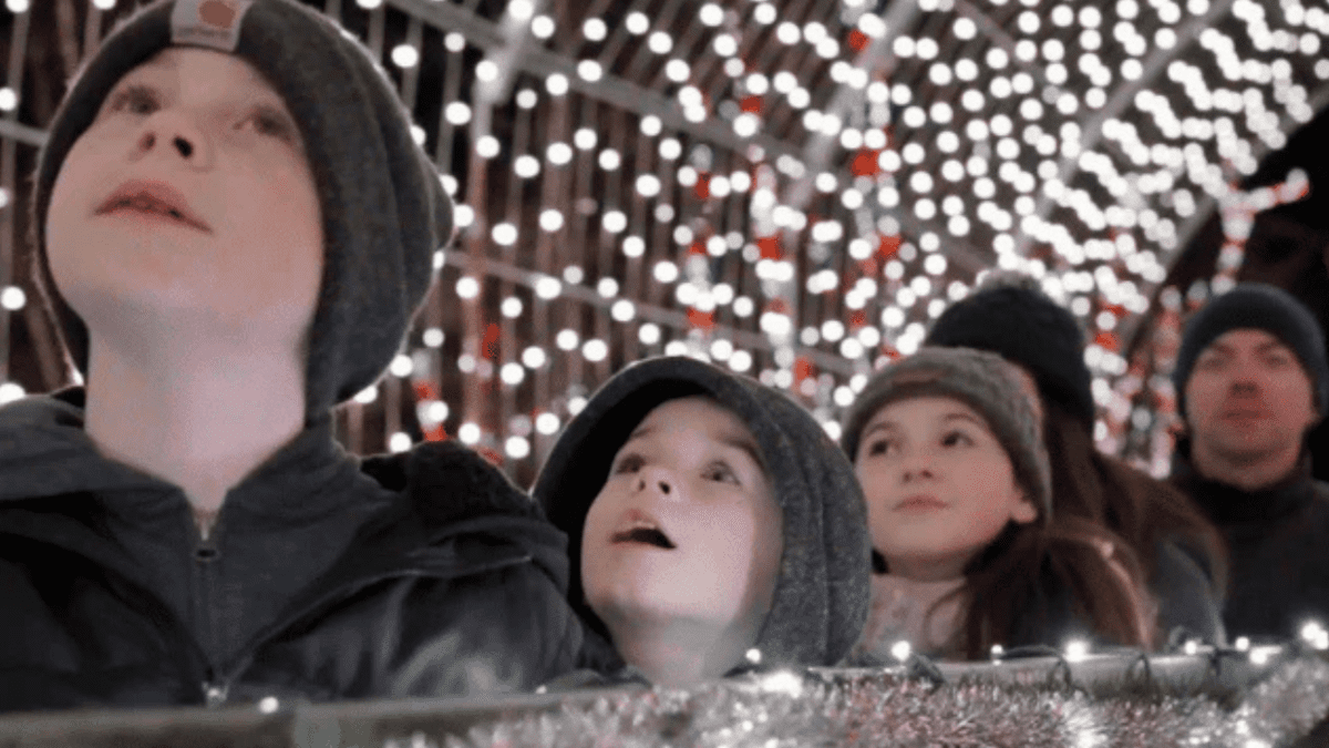 Kids look up at twinkling holiday lights at Shady Brook Farm.