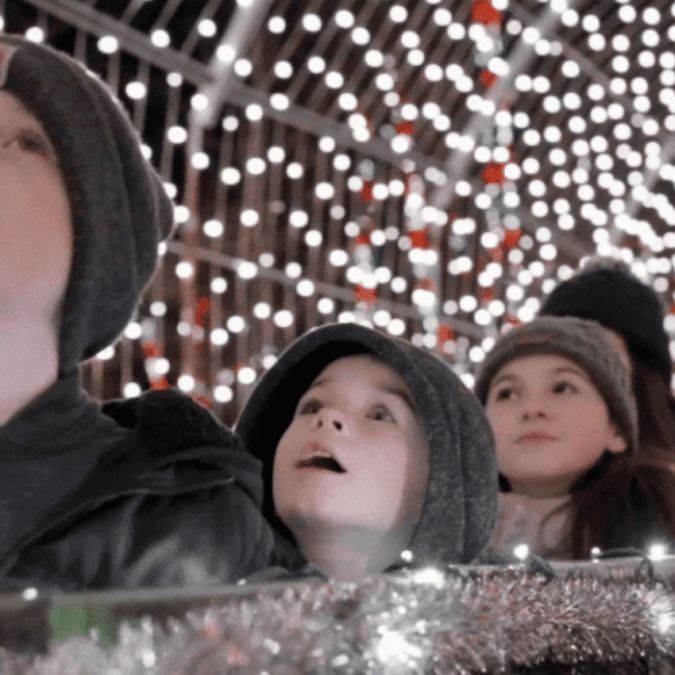 Kids look up at twinkling holiday lights at Shady Brook Farm.