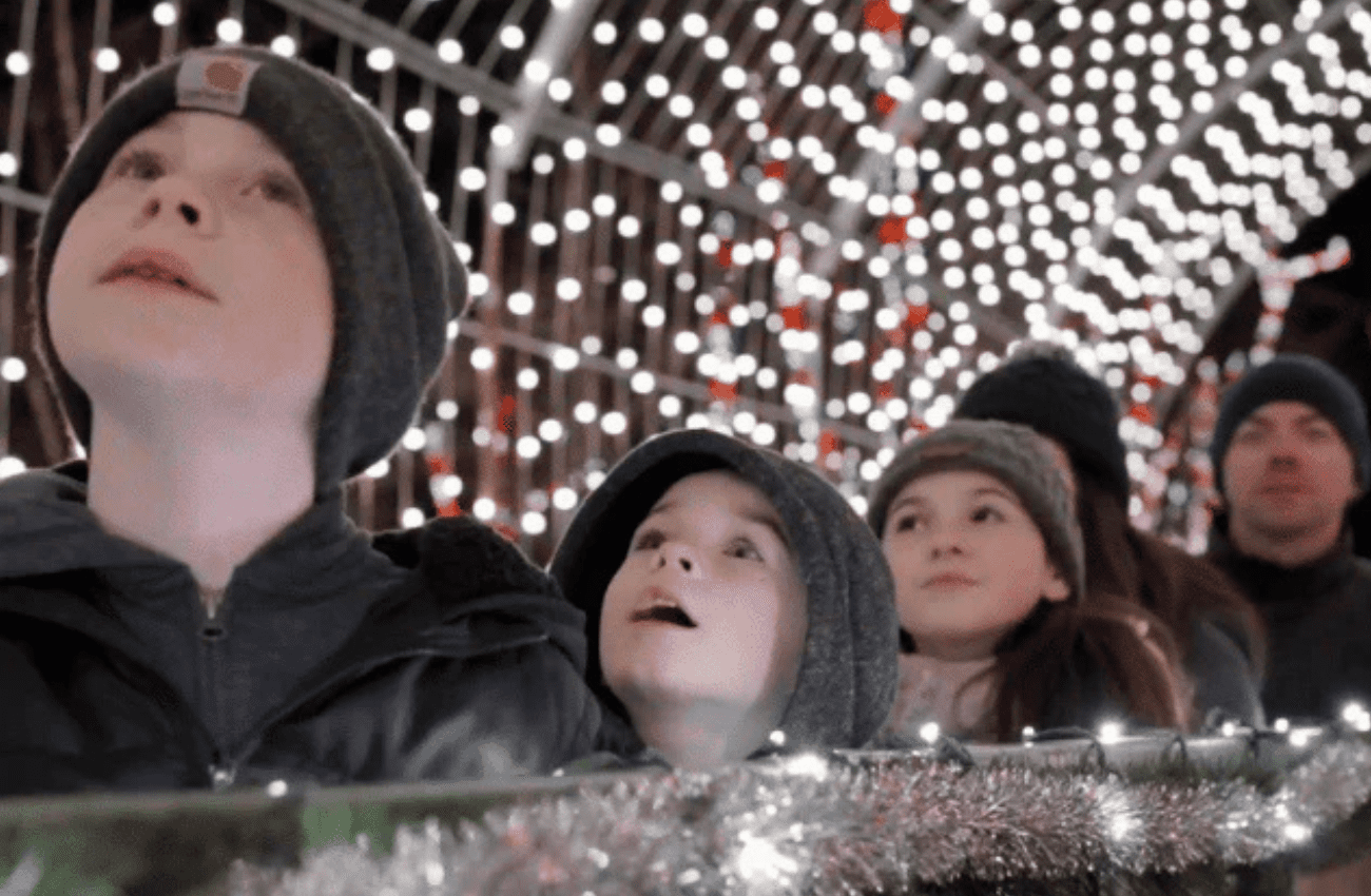 Kids look up at twinkling holiday lights at Shady Brook Farm.