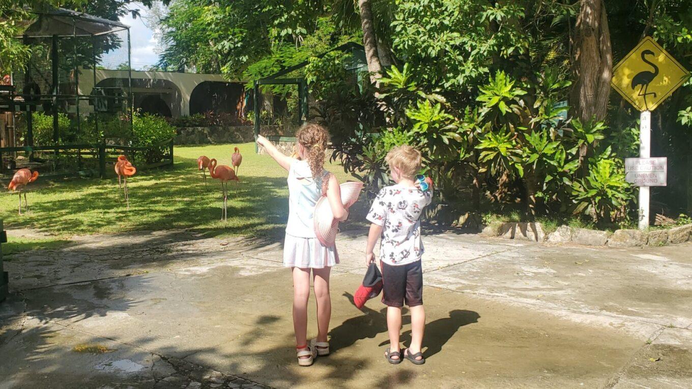 MODERNFAMILYTRAVELLLCMainLineParent_49326983_ArdastraGardensWildlifeConservationCentre