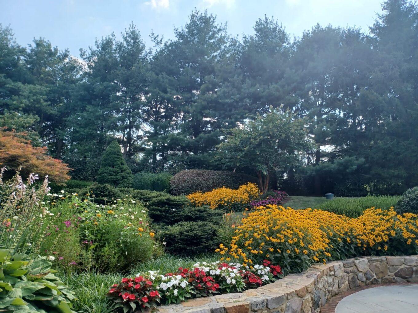 KaglesGardensLLCMainLineParent_49326843_IMG20220804WA0006