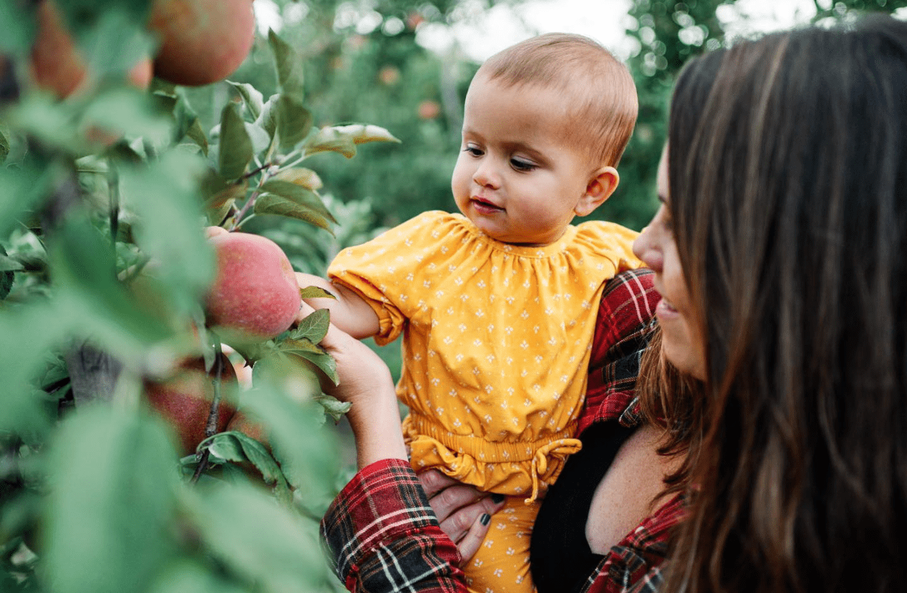 Pick apples and pumpkins at Johnson's Corner Farm.