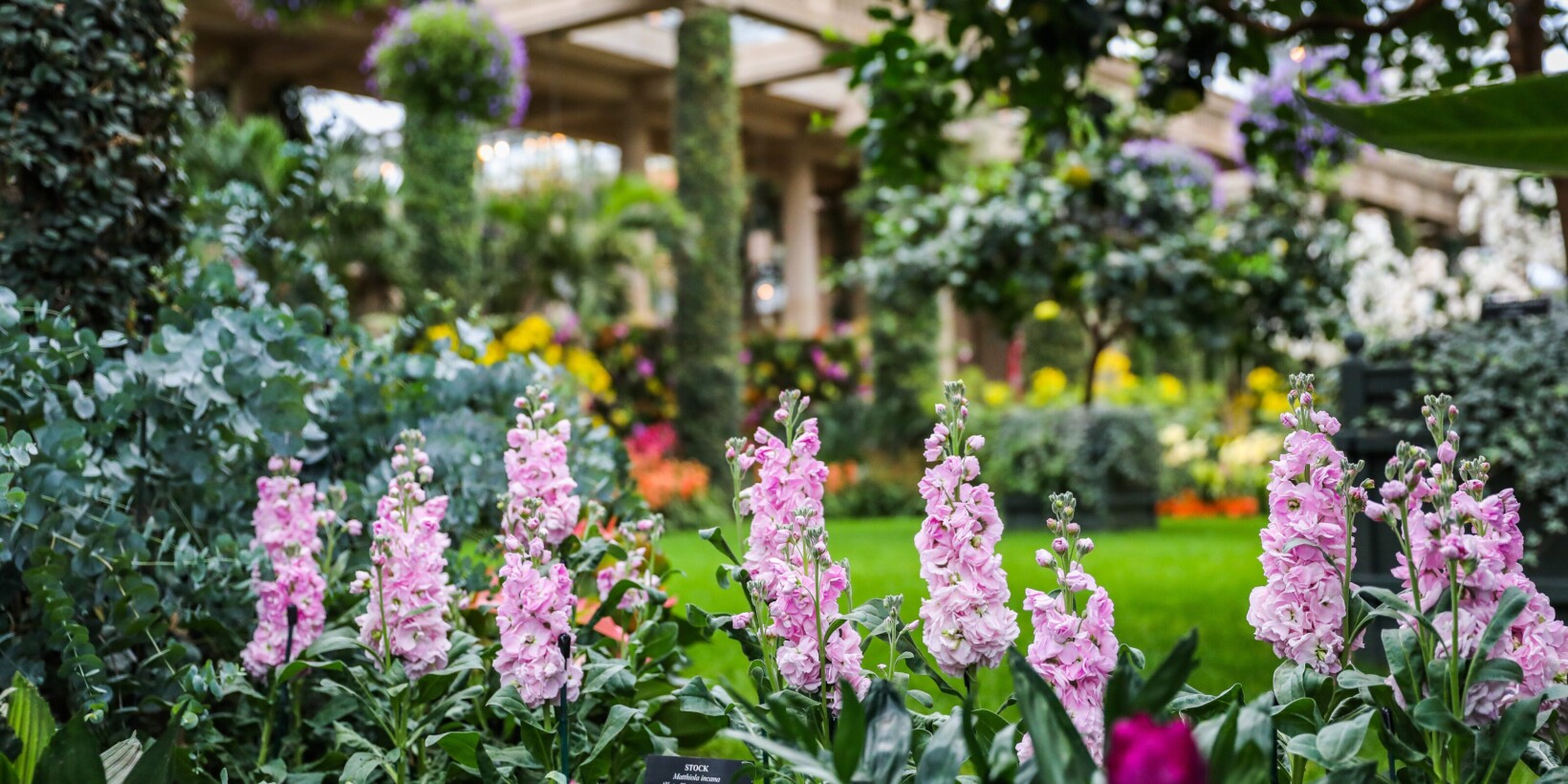 Longwood Gardens Main Line Parent