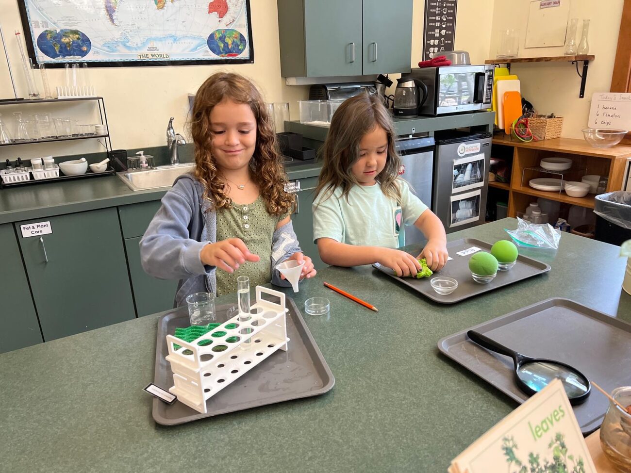Gladwynne Montessori students doing a science experiment