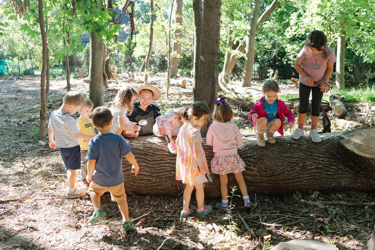 preschool students and a teacher observing a fallen tree.