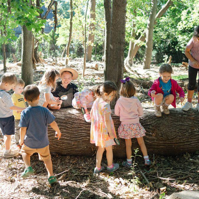 preschool students and a teacher observing a fallen tree.