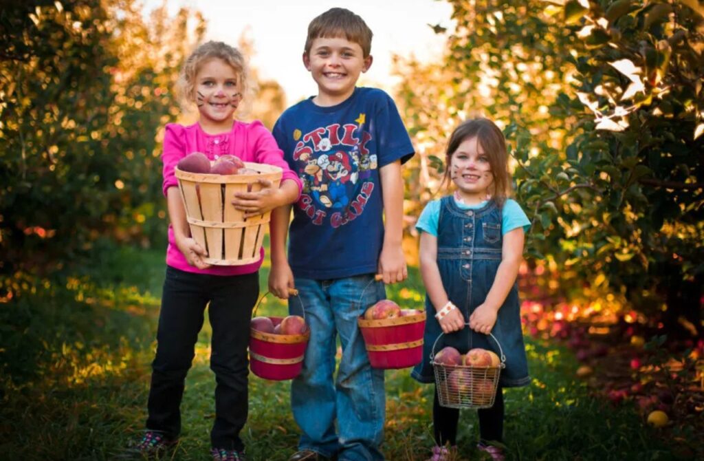 Family fun picking apples near the Main Line and Philadelphia