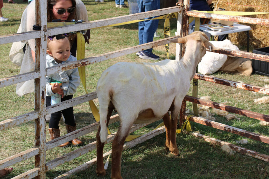 Fall Fun Festival at Nor-View Farm