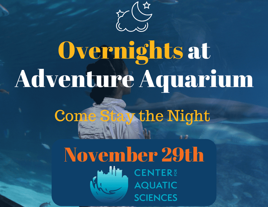 Adventure-Aquarium-Overnights