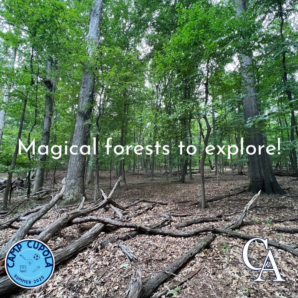 4914237849326830_160988892_MagicalForestsCampCupola