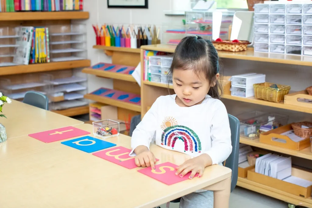 Primary first yr