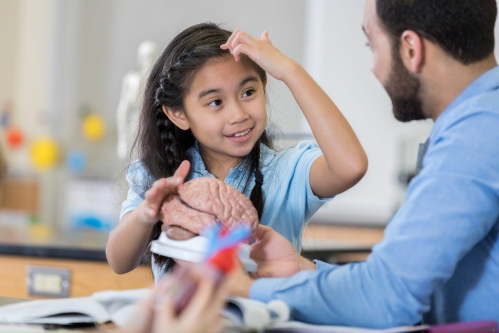 Middle schoolgirl discusses human brain with biology teacher