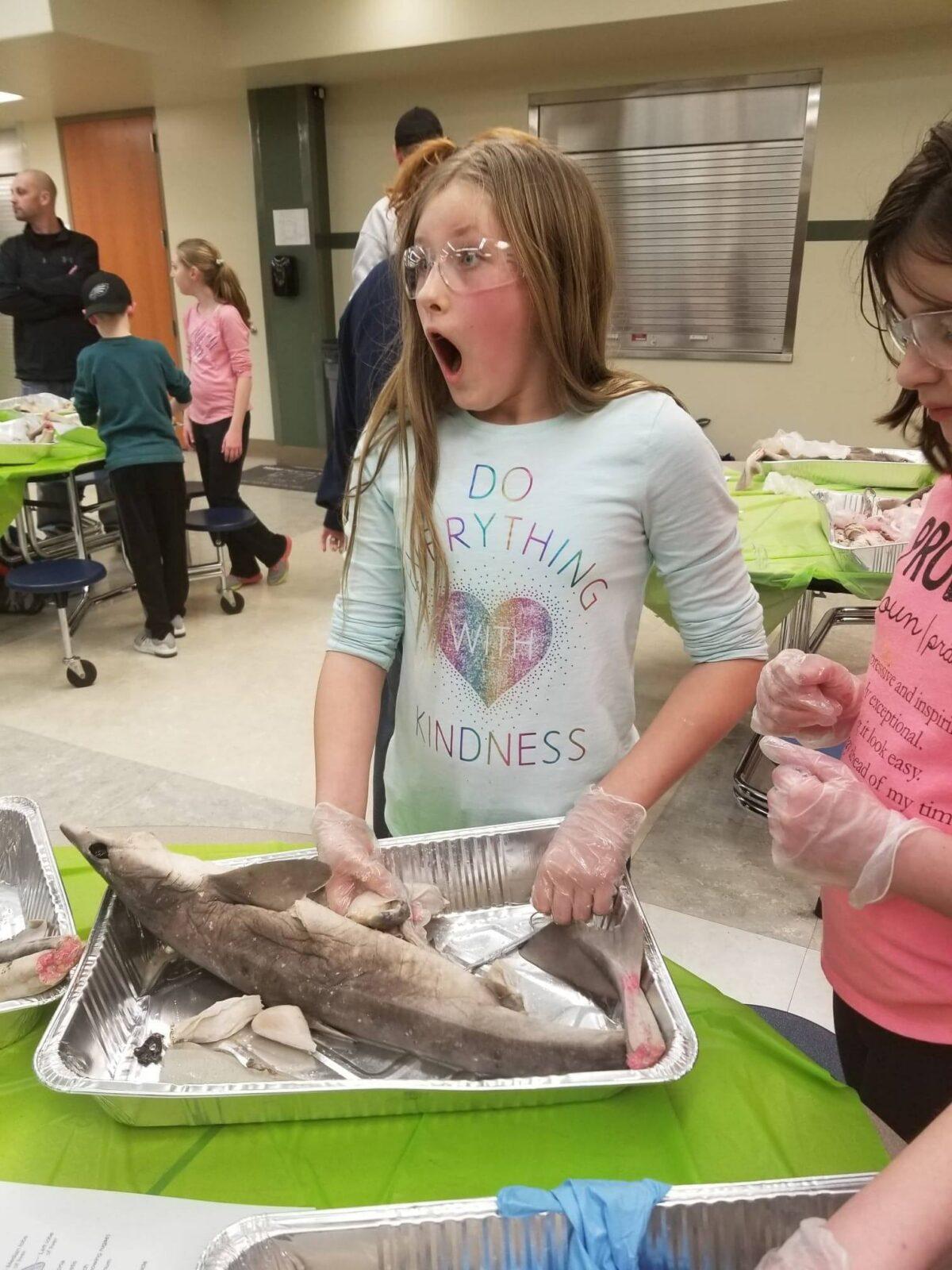 4914237849326830_161105775_54799014_254642728651463_452942496507363328_n