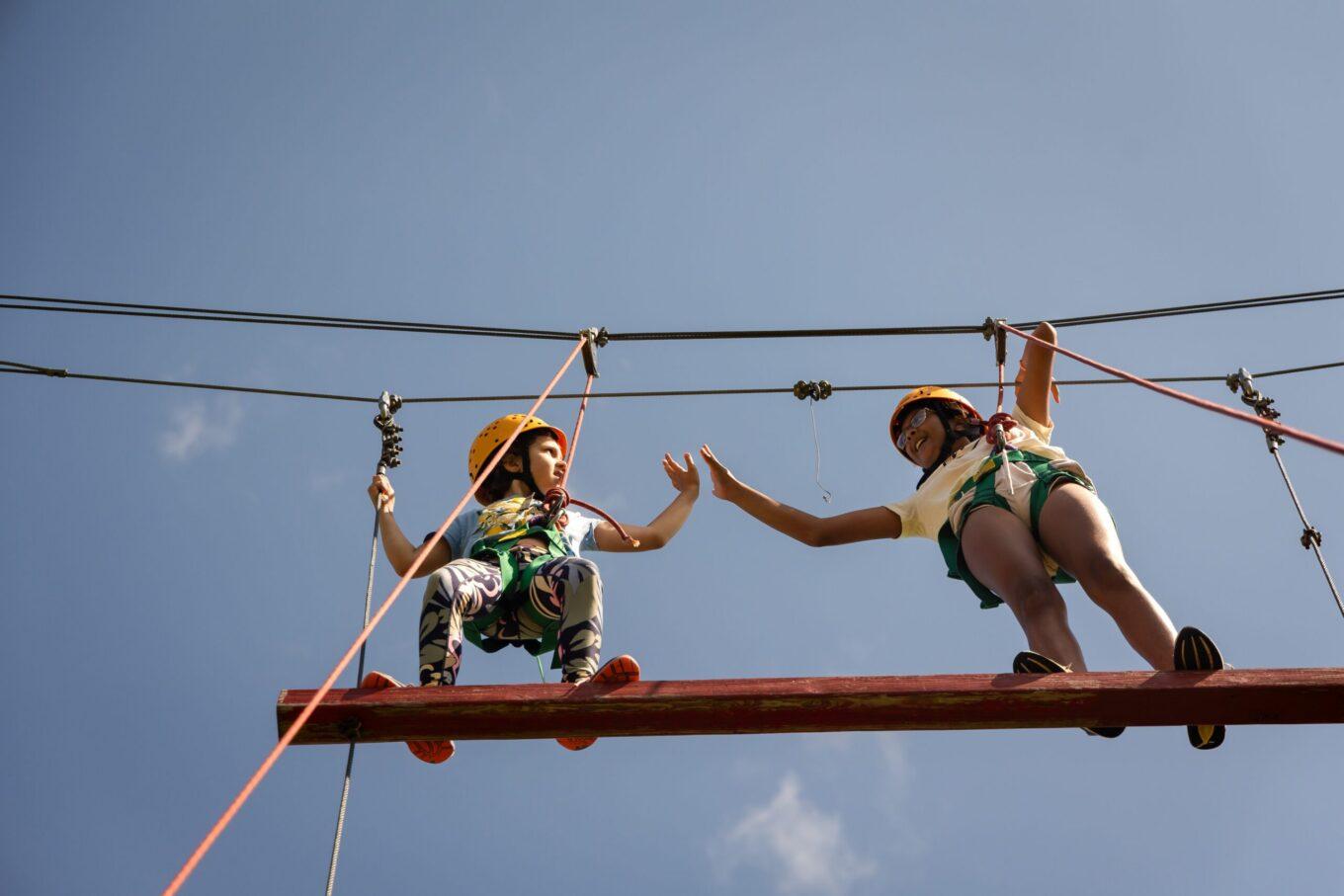 Independent Lake Camp Aerial Adventures – Ladder