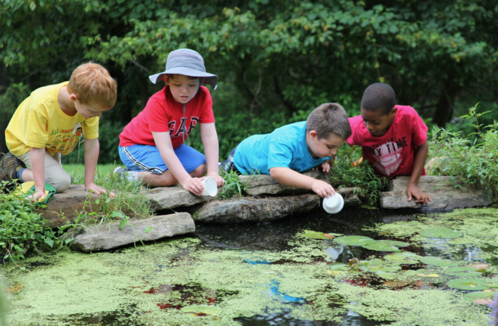 Four young children explore a pond in nature and enjoy being outdoors, one of many summer camp benefits.