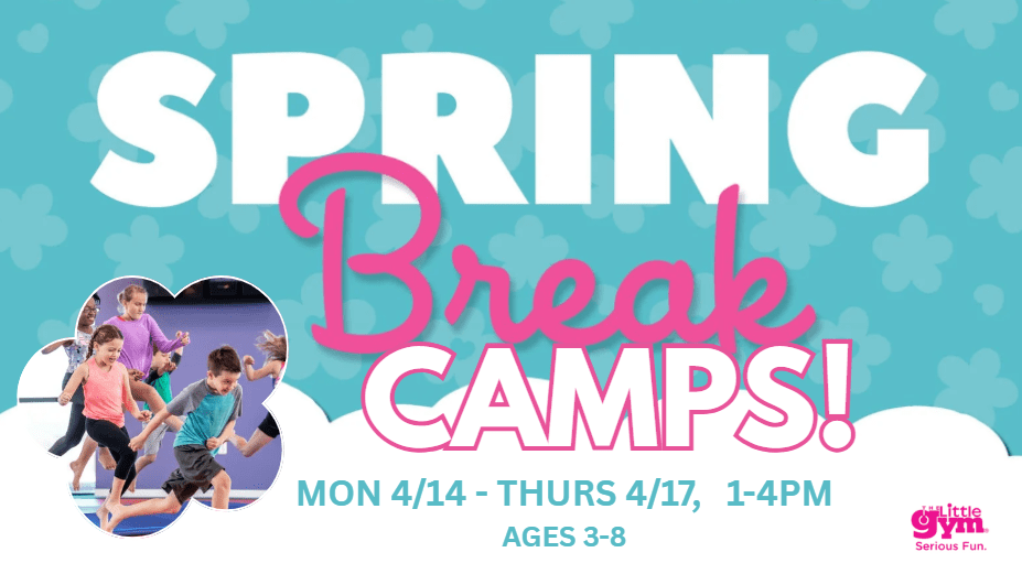 springbreak-moodmedia