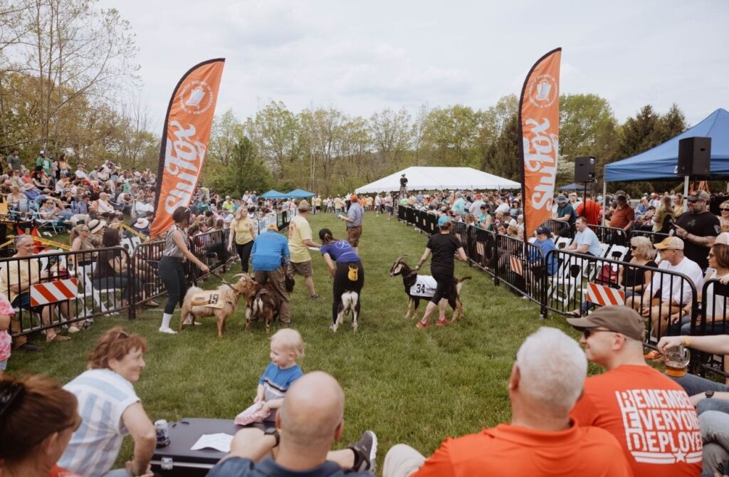 Goats and their handlers line up for a race during Sly Fox Goat Races.