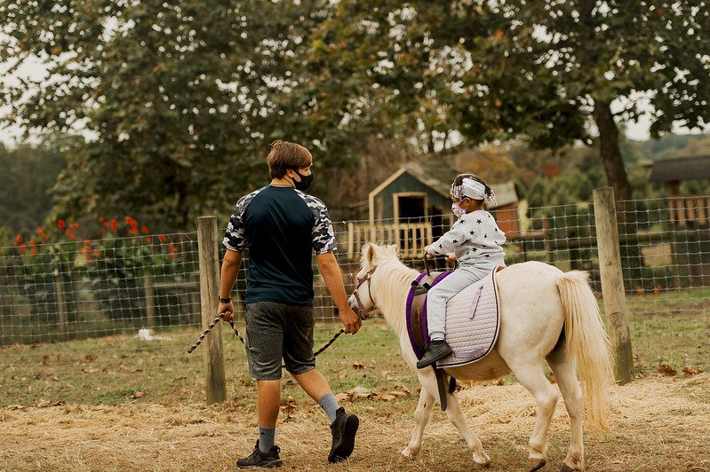 Pony Rides and Petting Zoo at Linvilla Orchards