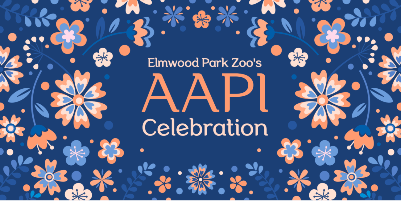 Elmwood Park Zoo Asian American Pacific Islander Month Celebration