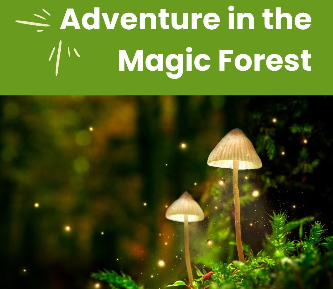 Adventure in the Magic Forest with Classical Music and Craft at Bala Cynwyd Library