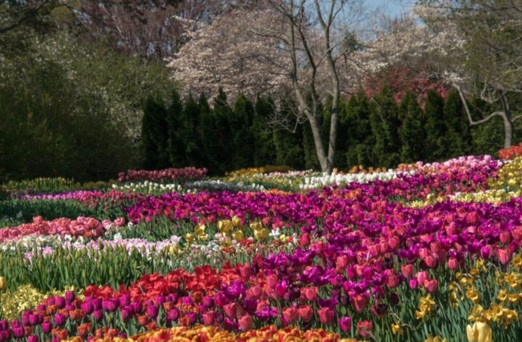 Longwood Gardens