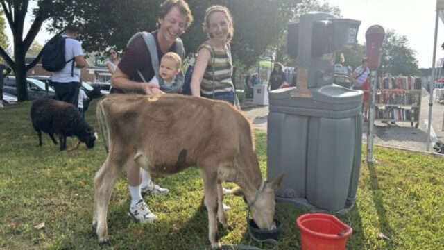 Bryn-Mawr-day-petting-zoo