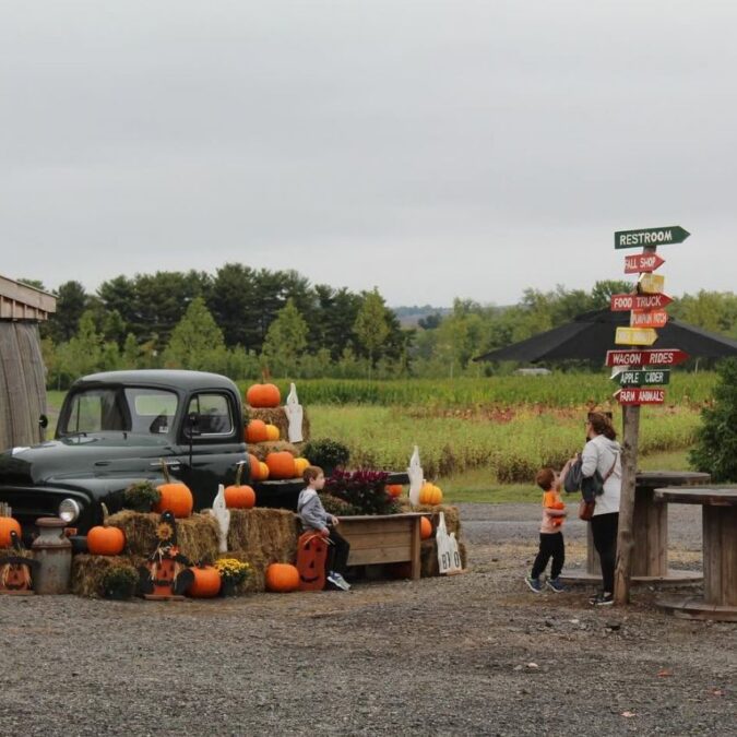 Arader Farm