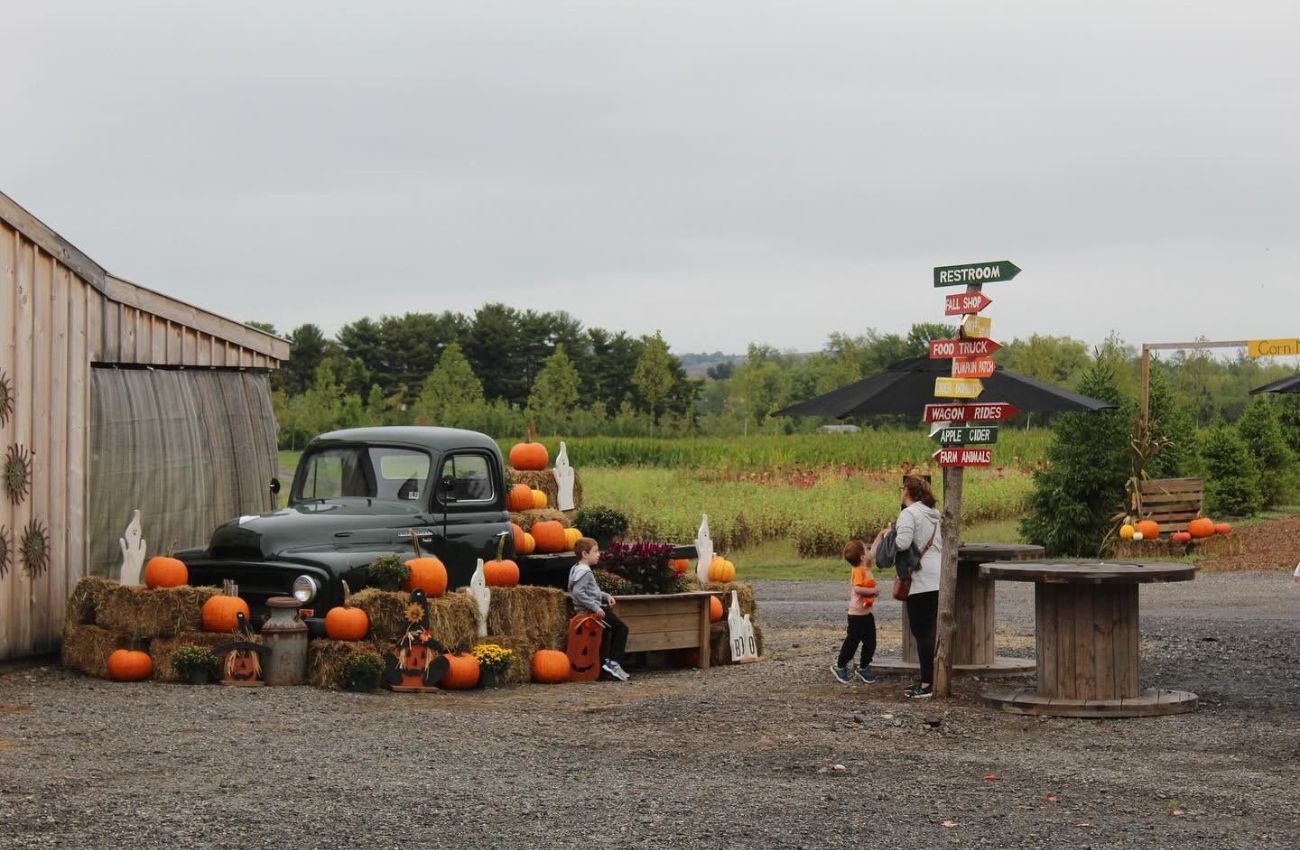 Arader Farm