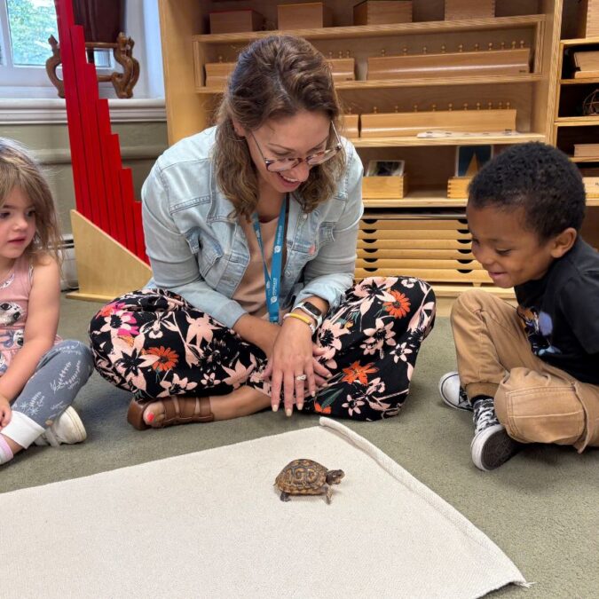 Young children and their teacher watch a turtle in the classroom.