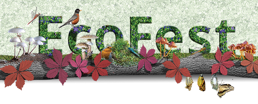 Media EcoFest