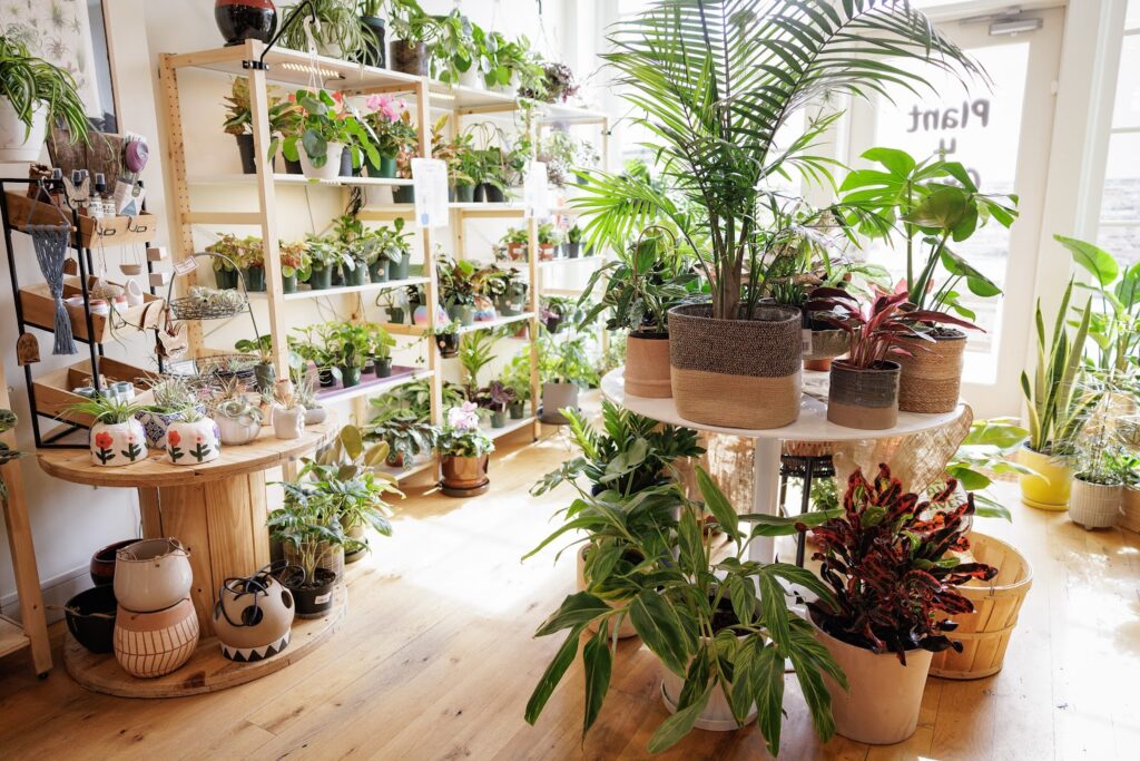 plant primary