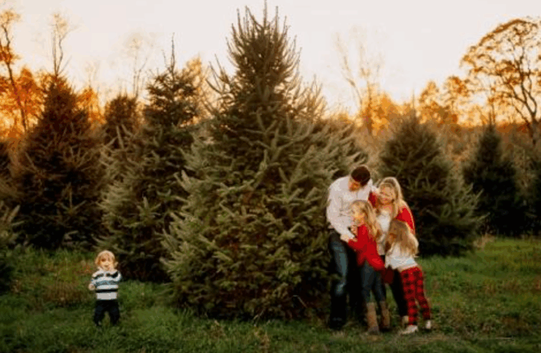 Linvilla orchards cut your own christmas trees