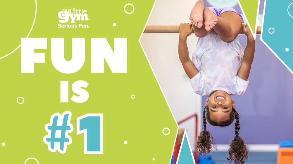 4914237849326830_160988892_fun1wide