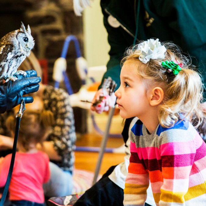 A little girl in a colorful striped shirt looks into an owl's face up close during a kid's day off camp.