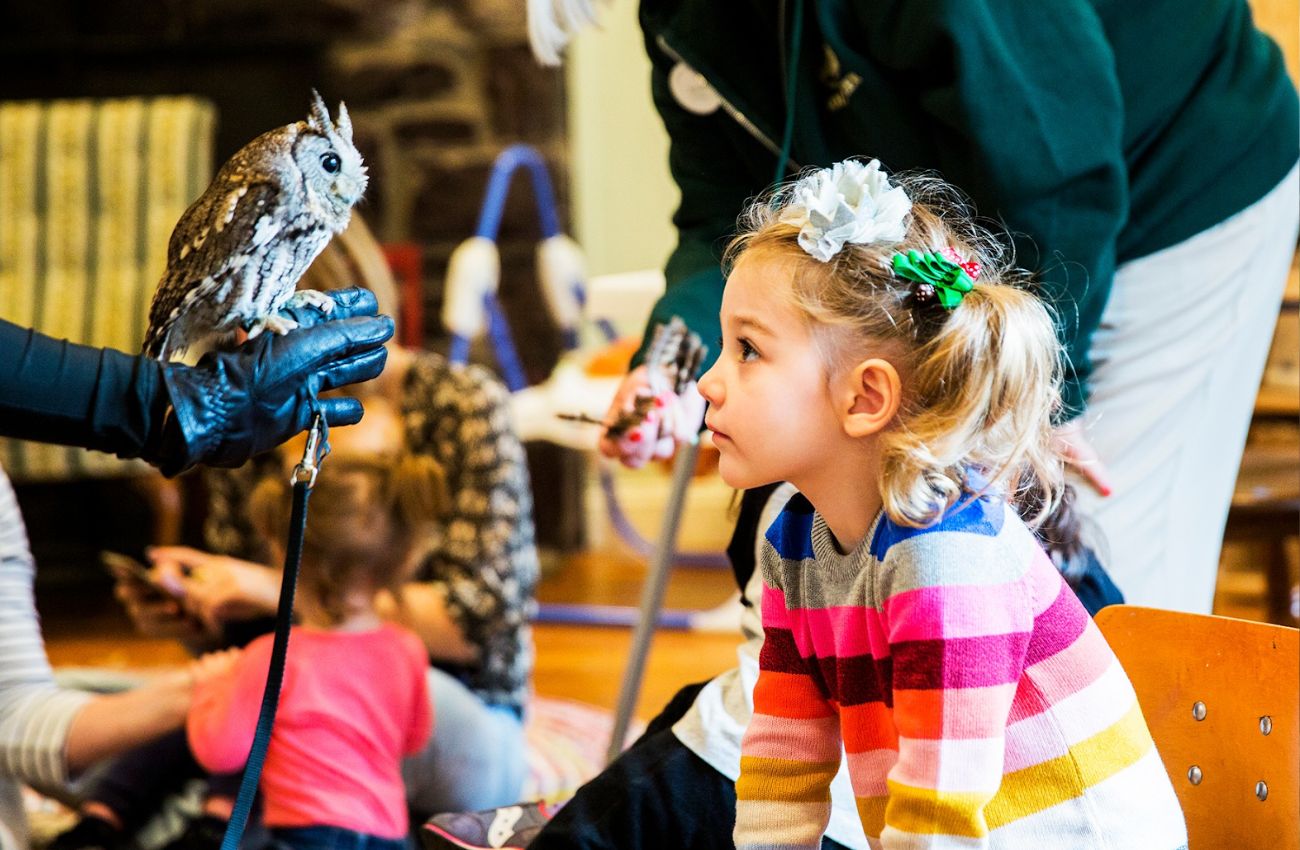 A little girl in a colorful striped shirt looks into an owl's face up close during a kid's day off camp.