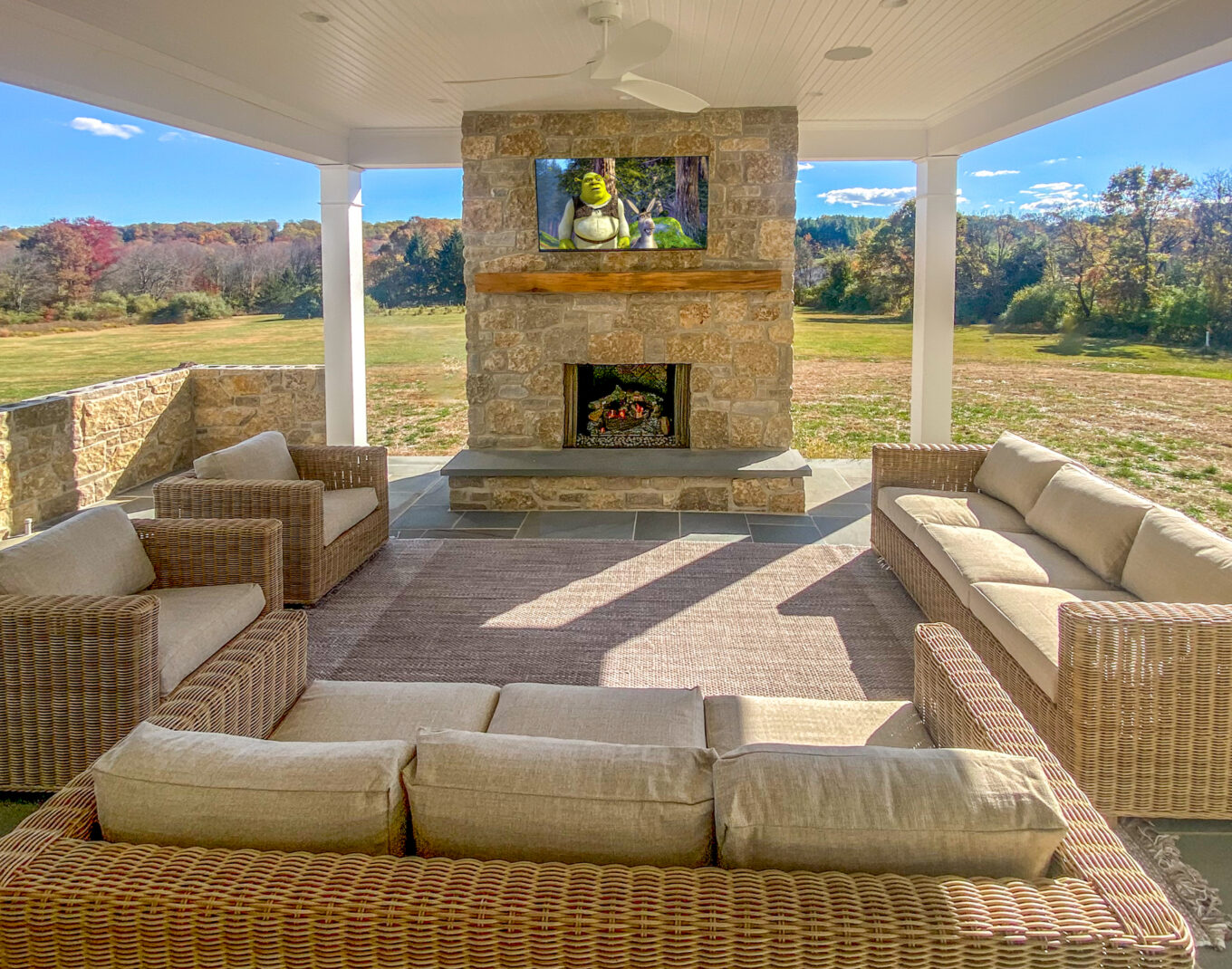 Gricco outdoor tv Shrek