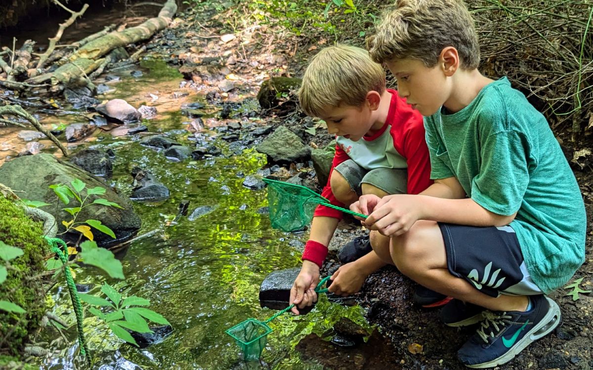 Tyler Aboretum profile pic