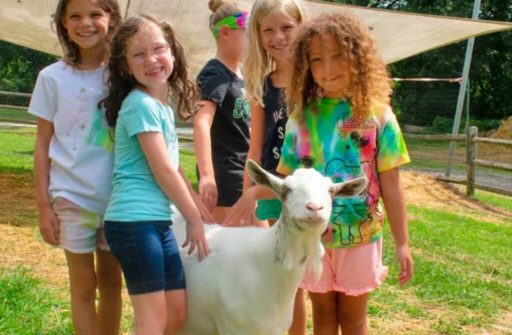 A group of young girls pose with a white goat outdoors at the Upper Main Line YMCA summer camp. 