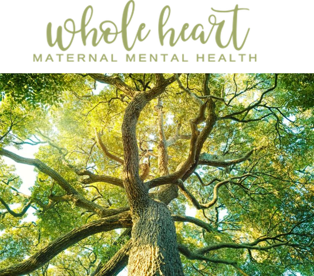 WholeHeartMaternalMentalHealthPhiladelphiaFamily_108166918_logo-1024×901