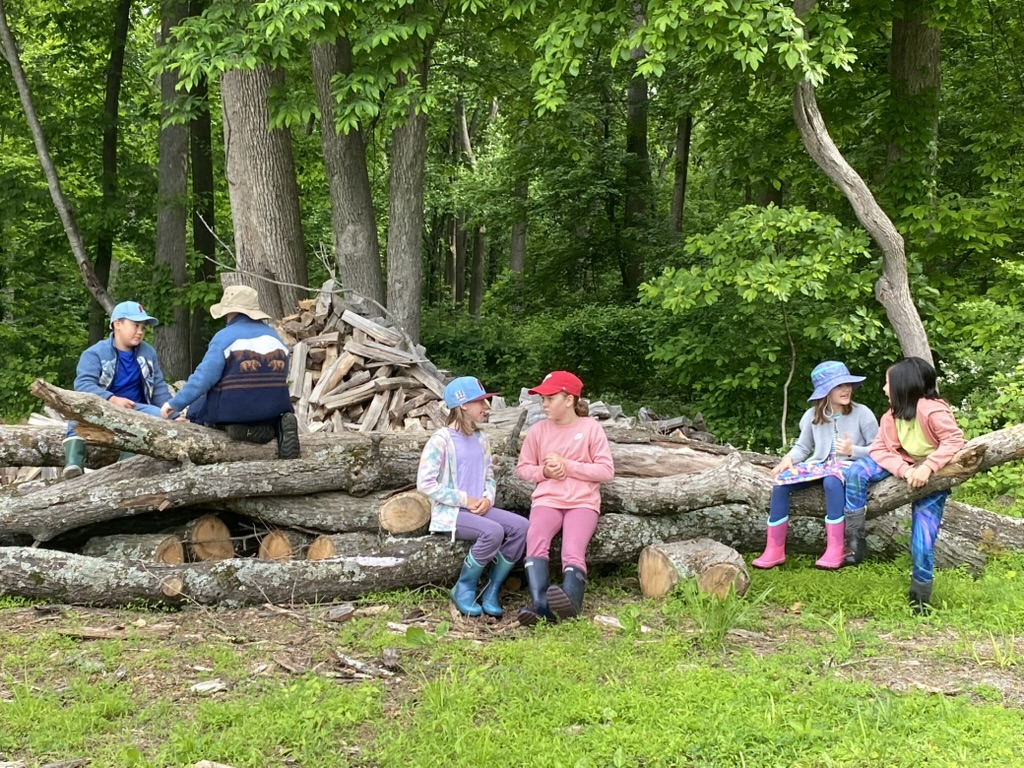 4914237849326830_160988893_41C32A36E83249DDB3110DDECFCC1EBD_1_105_c2Sungate