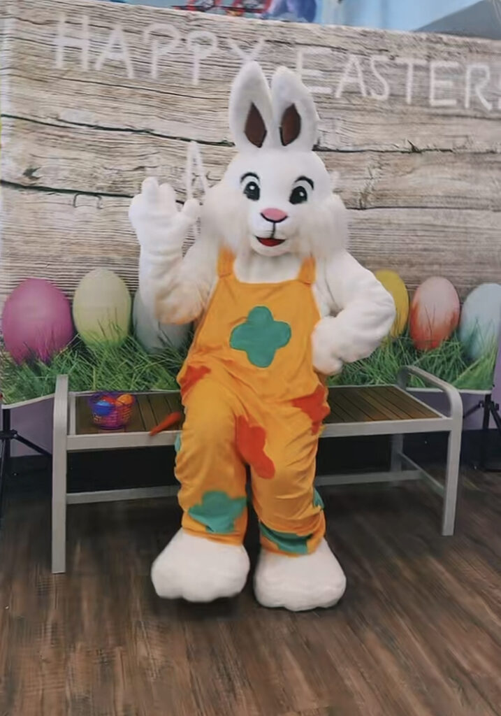 4914237849326830_160988893_cspbunny