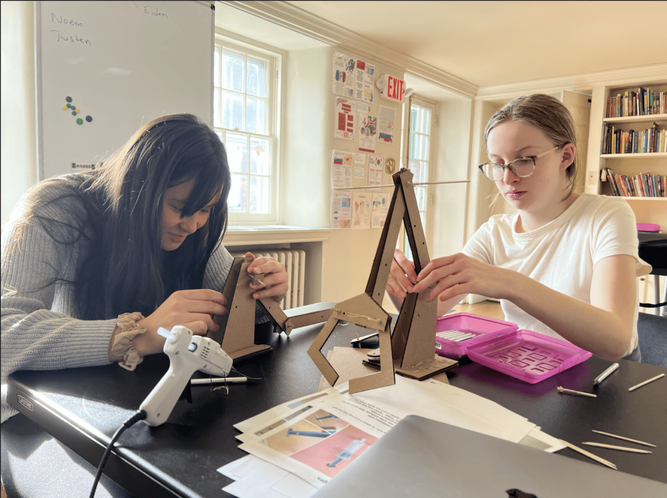 Lena and Eden Robot Arm